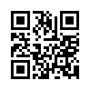 QR CODE 217