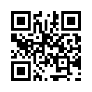 QR CODE 317