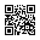 QR CODE 305