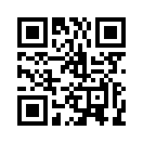QR CODE 317
