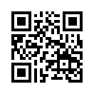 QR CODE 329