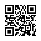 QR CODE 336