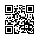 QR CODE 394
