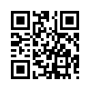 QR CODE 538