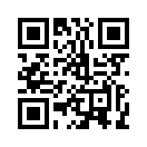 QR CODE 553