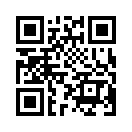 QR CODE 31