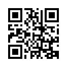 QR CODE 110