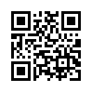 QR CODE 42