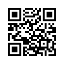 QR CODE 133