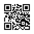 QR CODE 91