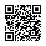QR CODE 31