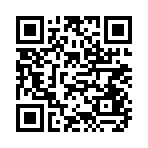 QR CODE 38