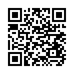 QR CODE 91