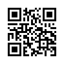 QR CODE 110