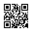 QR CODE 133