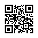QR CODE 329