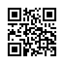 QR CODE 394