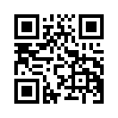 QR CODE 42