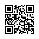 QR CODE 461