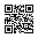 QR CODE 31