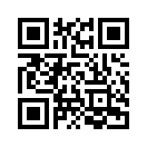 QR CODE 29