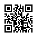 QR CODE 30