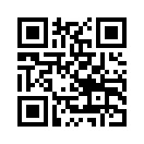 QR CODE 299
