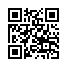 QR CODE 317