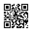 QR CODE 461
