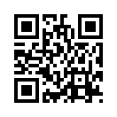 QR CODE 486
