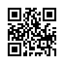 QR CODE 493
