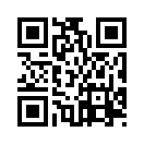 QR CODE 53
