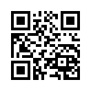 QR CODE 31