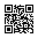 QR CODE 110
