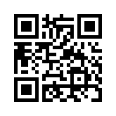 QR CODE 176