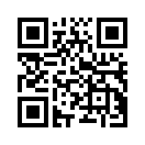 QR CODE 53