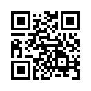 QR CODE 31