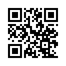 QR CODE 31