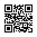 QR CODE 133
