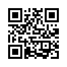 QR CODE 31