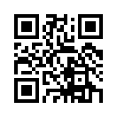 QR CODE 317