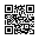 QR CODE 329