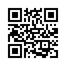 QR CODE 402