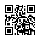 QR CODE 461