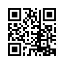 QR CODE 519