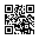 QR CODE 529