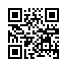 QR CODE 1179