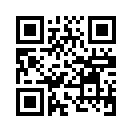 QR CODE 1180