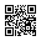 QR CODE 1238