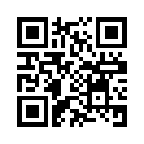 QR CODE 133